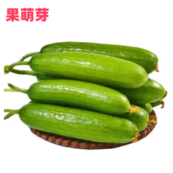果萌芽 京地达山东水果小黄瓜 净重3斤单果100g+  现摘现发 源头直发 现摘水果小黄瓜 3斤