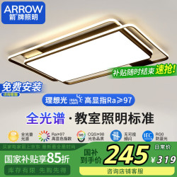 箭牌 ARROW 铁艺大客厅灯 9760lm 北欧吸顶灯