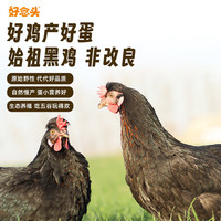 好念头 可生食无菌土鸡蛋