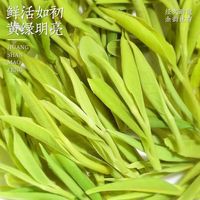 中谷御品茶叶绿茶黄山毛峰 2025新城明前浓香型嫩芽可冷泡茶叶罐装50g