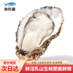 渔传播 净水鲜活生蚝 5斤装 1份盒装