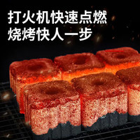OFEIS果木炭速燃炭烧烤碳户外家用滴油不起火易燃炭野外烤串烧烤炭 24块【两箱装】99%选择