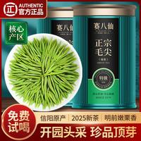 珍品5A毛尖顶芽2025新茶信阳绿茶特级茶叶自己喝嫩芽散装毛尖茶
