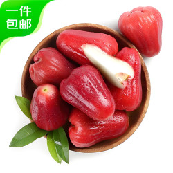 京鲜生 大号黑金刚莲雾（单果80g+）净重2斤装（9-12个）