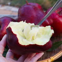 ZOCO甘肃天水花牛苹果当季时令水果 精选花牛5斤装