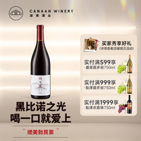 诗百篇 特选黑皮诺干红葡萄酒750ml