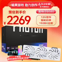 GUNNIR 蓝戟 Intel Arc B580 Photon W 12GB OC 显卡