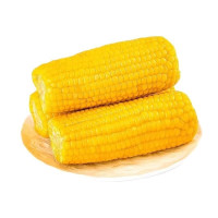 裕禧丰农 东北黄糯玉米200g8支