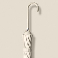 妃格莱儿 FILLE CLAIR 9655 长柄雨伞 55cm-61cm 梧桐杏 全自动 纤维抗风伞架