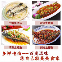 品鲜肴淡水鱼土鲫鱼鲜活鱼现杀渔民野外自然捕获生鲜水产湖鲜净膛去内脏 鲜活宰杀4-6条 (三去净重)
