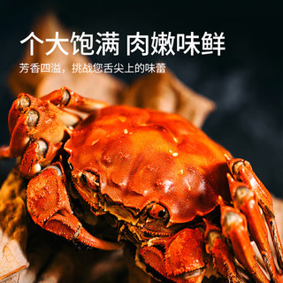 湖丰 大闸蟹礼券 0568型