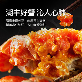 湖丰 大闸蟹礼券 0568型