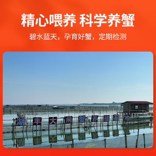 湖丰 大闸蟹礼券 0568型