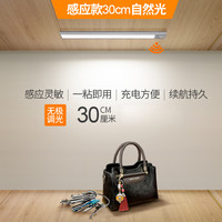 卡特加特 KATT GATT 光敏+人体感应双模式橱柜灯 30cm