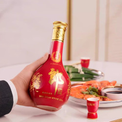 郎酒 红花郎10 53度 酱香型白酒 500ml  2瓶