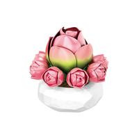 inbrixx 积乎 多肉盆栽植物系列 655059 山地玫瑰