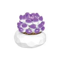 inbrixx 积乎 多肉盆栽植物系列 655060 玉露