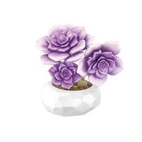 【新品】inbrixx积乎植物系列多肉盆栽拼装玩具花束积木摆件礼物