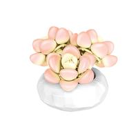 inbrixx 积乎 多肉盆栽植物系列 655063 冰玉