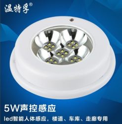 温特孚 LIGHTSTAND 温特孚 led吸顶灯 5W 智能声控感应+光控