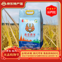 禾风园 2024年新米丨优质一级大米丨籼米象牙粘米丝苗香米丨软糯粒粒分明 2024新米籼米