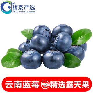 诸氏橙品【现摘-空运】有机蓝莓水果 新鲜大果 花香蓝莓鲜果时令生鲜 贡果125g*2盒（单果18mm+）