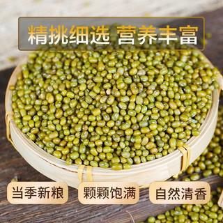 燕之坊 绿豆新货绿豆汤糕沙原料五谷杂粮粗粮 粥米伴侣可煲煮粥解暑配料