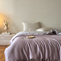 流川枫60支莱赛尔天丝床单四件套双拼纯色天丝单被套天然植物纤维套件 满天星紫-曙光银 HS 2.0m床单套件(被套 220cm*240cm ) 48*74cm/枕套一对 XC-初见芊花