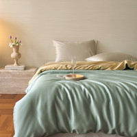 流川枫60支莱赛尔天丝床单四件套双拼纯色天丝单被套天然植物纤维套件 浅艾绿-香槟金 HS 1.5m床单套件(被套 200cm*230cm )