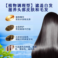 侗染染发膏 咖啡色盖白发染发剂 植物染发轻松染补染一洗黑 端午节