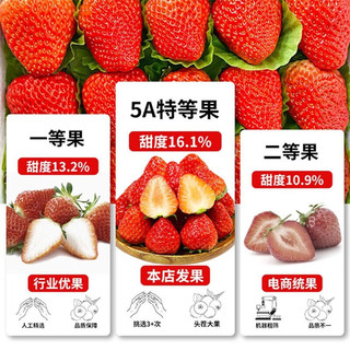 松筱丹东草莓红颜99水果多地次日达【JD空运】奶油草莓物盒装 2斤超大果 单果30-40g 净1.8斤