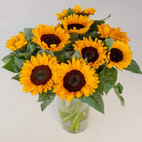 京东鲜花向日葵鲜切花生活鲜花水养绽放向日葵5枝云南源头直发