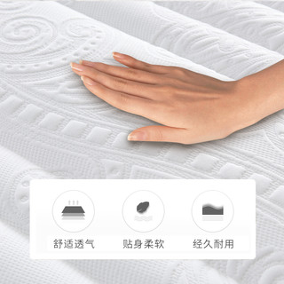  TIANTAN/天坛家具 护脊 椰棕床垫