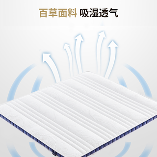  TIANTAN/天坛家具 护脊 椰棕床垫