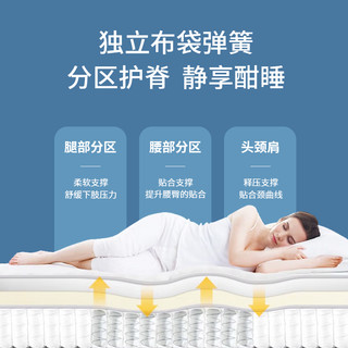  TIANTAN/天坛家具 护脊抑菌防螨 席梦思床垫
