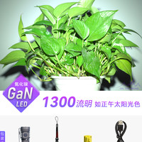 在路上 ON THE ROAD M3 Pro 迷你强光手电筒USB 可充电式手电筒 小手电筒防身