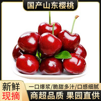 果聚匠心 正宗山东烟台樱桃 4斤(净重) 带箱5斤[单果8-10g]