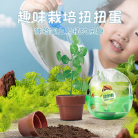生态E园 ecoeY 扭扭蛋玩具盲盒迷你爆款扭蛋球儿童益智手工植物小盆栽 黄瓜