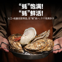 【买5斤送5斤】正宗乳山生蚝鲜活乳山生蚝新鲜牡蛎特大号海鲜水产