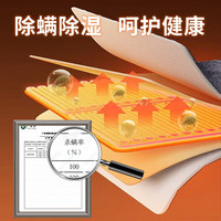 长城电热毯双人电褥子双控双温除螨定时自动断电老牌子牛奶绒毯子 牛奶绒-轻奢灰【长2.0*1.8米】