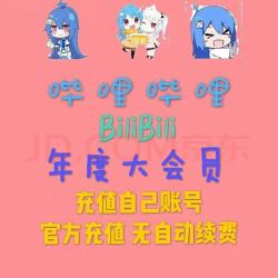 哔哩哔哩 bilibili 大会员一年  bilibili B站一年大会员 1年 12个月 一次到账1年（不支持电视）