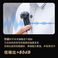 枫笛枫笛Blink500 B2+无线麦克风配件【配件 非麦克风】 Blink500 B2+ 毛套