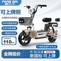 永久 电动车 新国标 48V 成人代步电动自行车