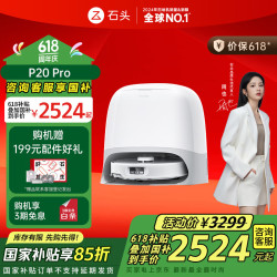 Roborock 石头 P20 Pro 扫拖一体机 水箱版