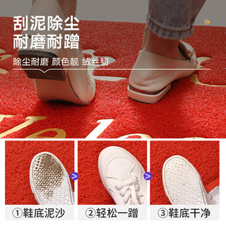 柏能出入平安门垫入户地垫门口脚垫进户门地毯红色60*90cm特厚1.6cm