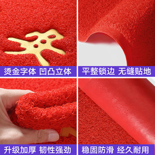 柏能出入平安门垫入户地垫门口脚垫进户门地毯红色60*90cm特厚1.6cm