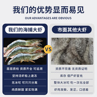 海皇湾 虾 青岛大虾 海捕超大号基围虾鲜活冷冻青虾白虾 3040规格青虾 1500g(净重)