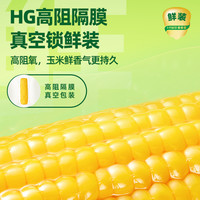 十月稻田黄糯玉米1.32kg微蒸煮即食东北香甜糯黏玉米真空装