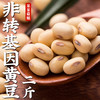呆呆菇娘脱皮绿豆半斤去皮绿豆仁绿豆饼绿豆糕原材料家用烘焙绿豆沙A 非转基因黄豆 250g*1袋 【拍5发6】