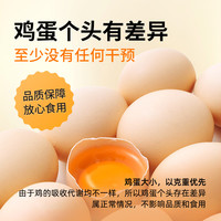 SHENGMU SINCE 2009 比土鸡蛋还营养 有机鸡蛋